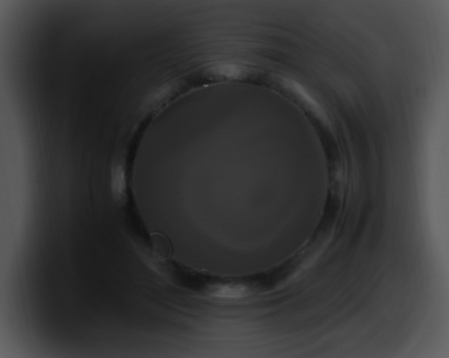 X0000100400500200806061319