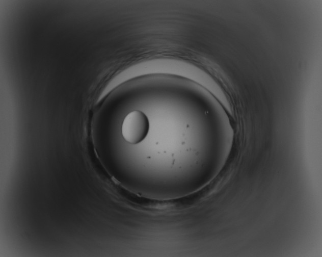 X0000100400501200806061319