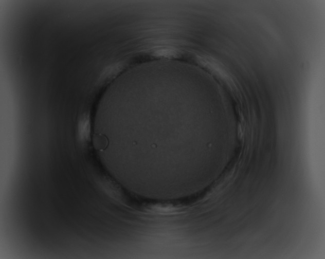 X0000100400502200806061319