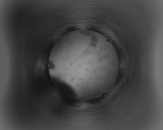 X0000100400503200806061319
