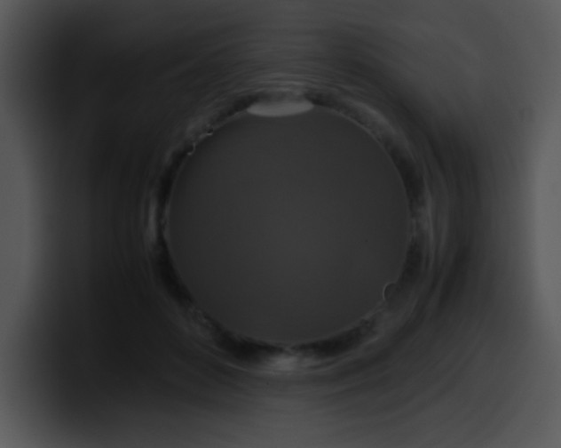 X0000100400504200806061319