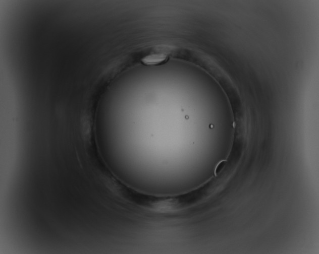 X0000100400505200806061319