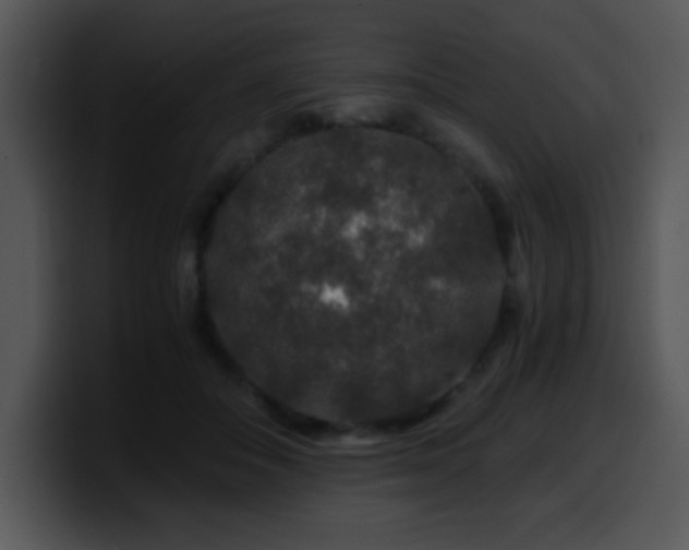 X0000100400506200806061319