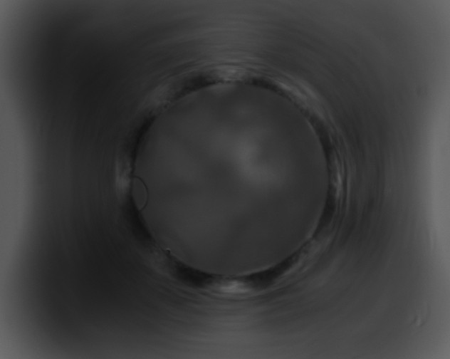 X0000100400507200806061319