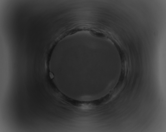 X0000100400508200806061319