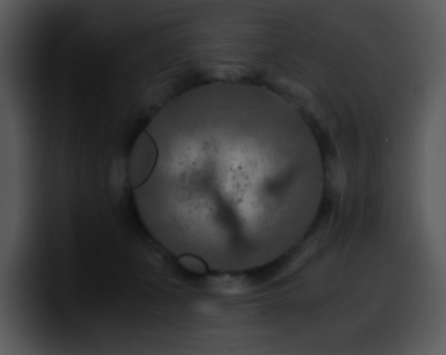 X0000100400511200806061319
