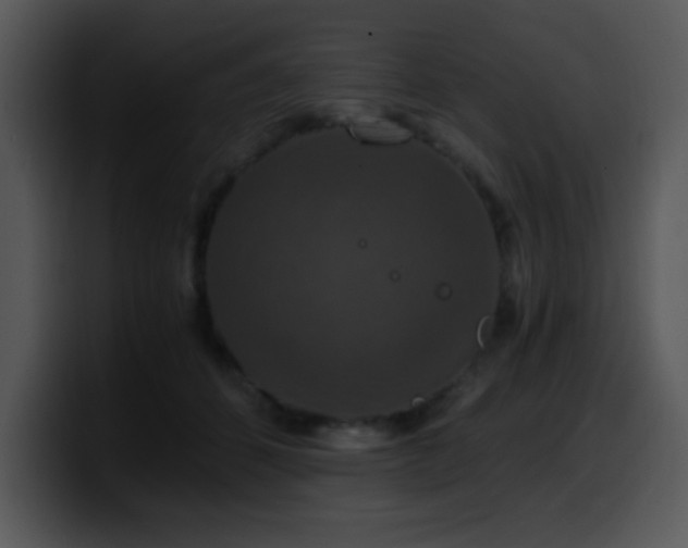 X0000100400512200806061319