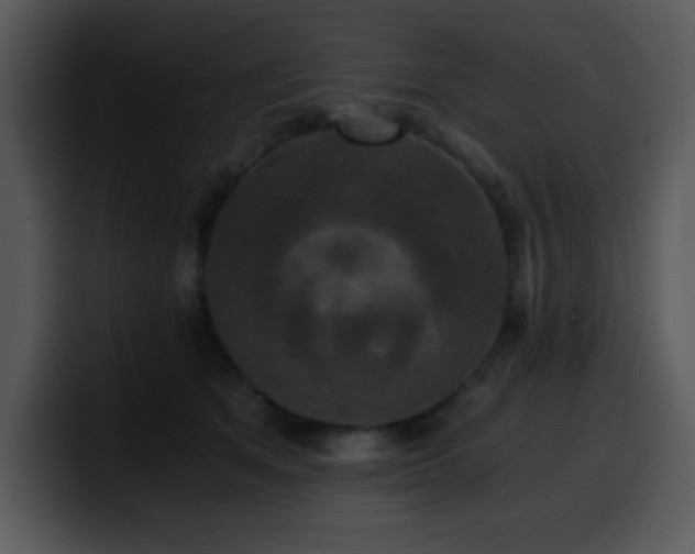 X0000100400513200806061319