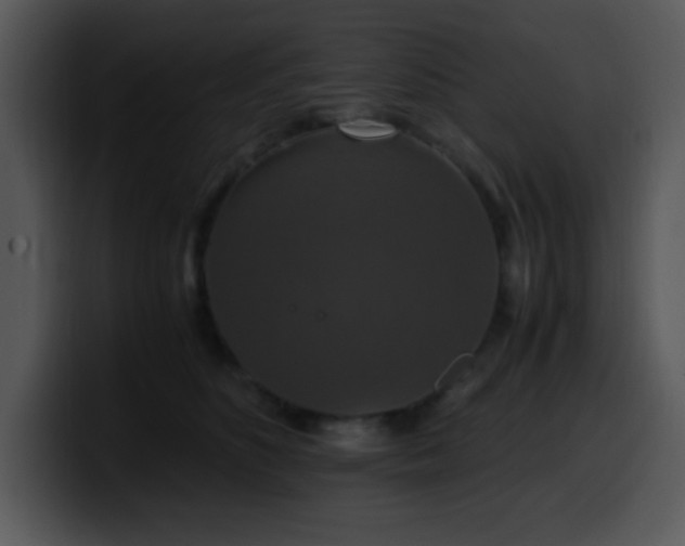X0000100400516200806061319