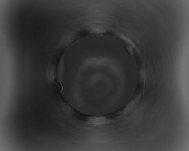 X0000100400517200806061319