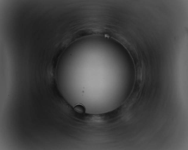 X0000100400518200806061319