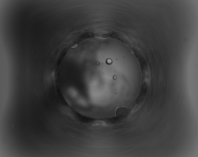 X0000100400519200806061319