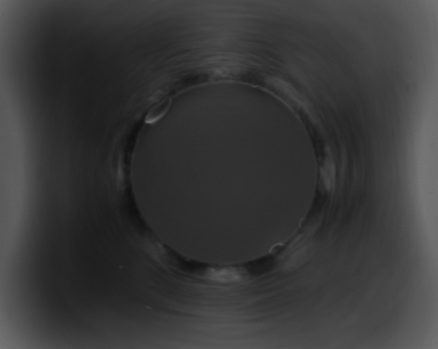 X0000100400520200806061319