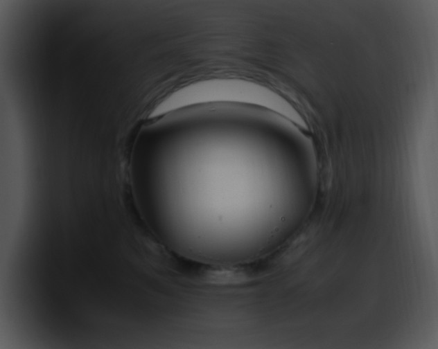 X0000100400521200806061319