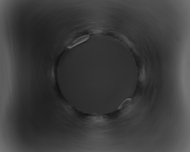 X0000100400524200806061319