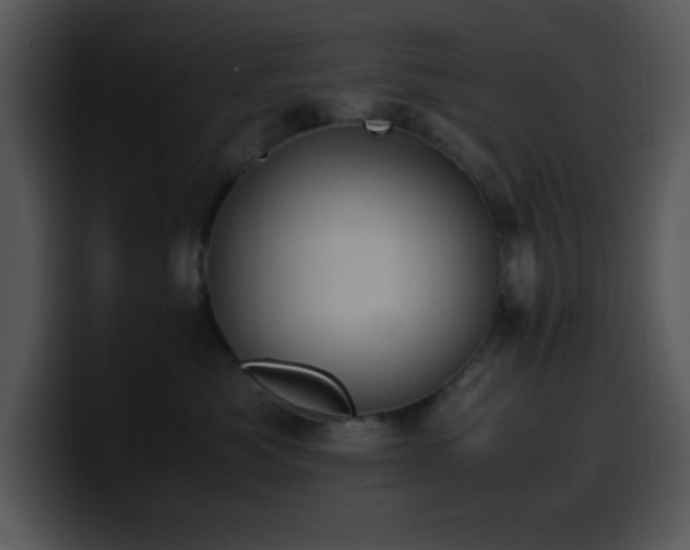 X0000100400525200806061319