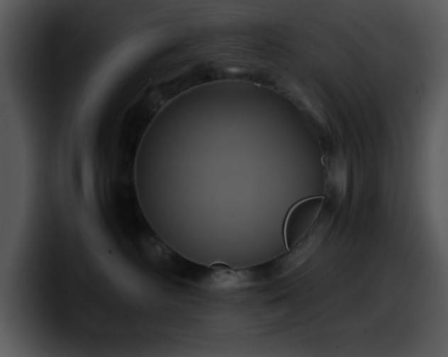 X0000100400526200806061319