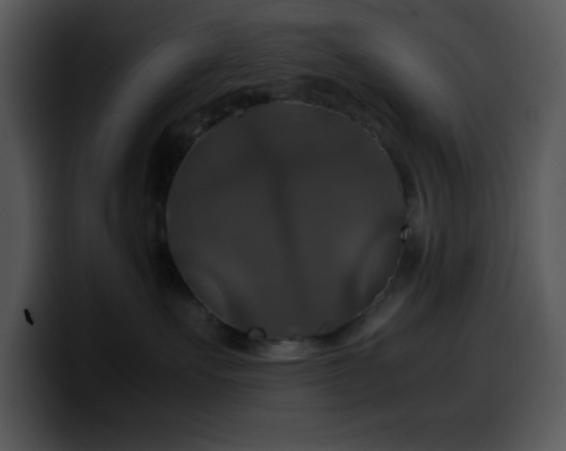 X0000100400527200806061319