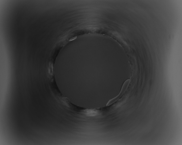 X0000100400528200806061319