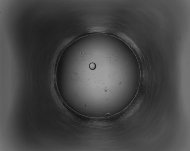 X0000100400529200806061318