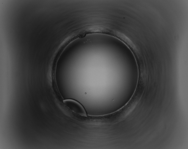 X0000100400530200806061318