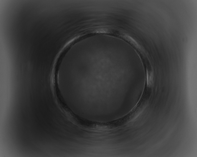 X0000100400531200806061318