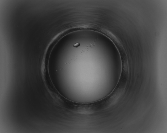 X0000100400532200806061318