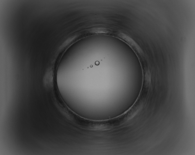 X0000100400533200806061318