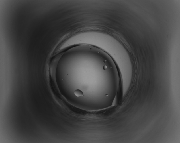X0000100400534200806061318