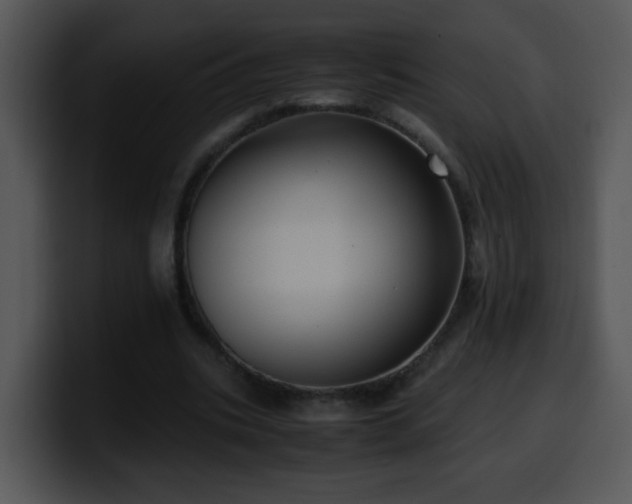 X0000100400535200806061318