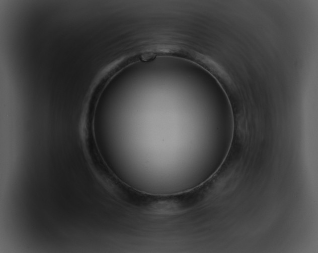 X0000100400536200806061318