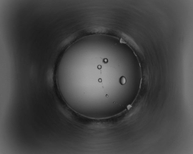 X0000100400538200806061318