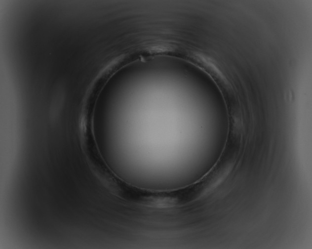 X0000100400539200806061318