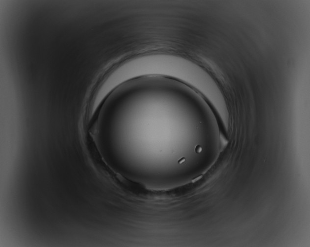 X0000100400540200806061318