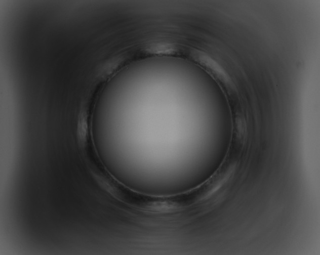 X0000100400541200806061318