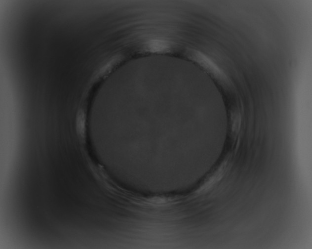 X0000100400542200806061318
