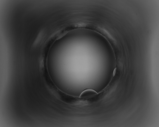 X0000100400543200806061318