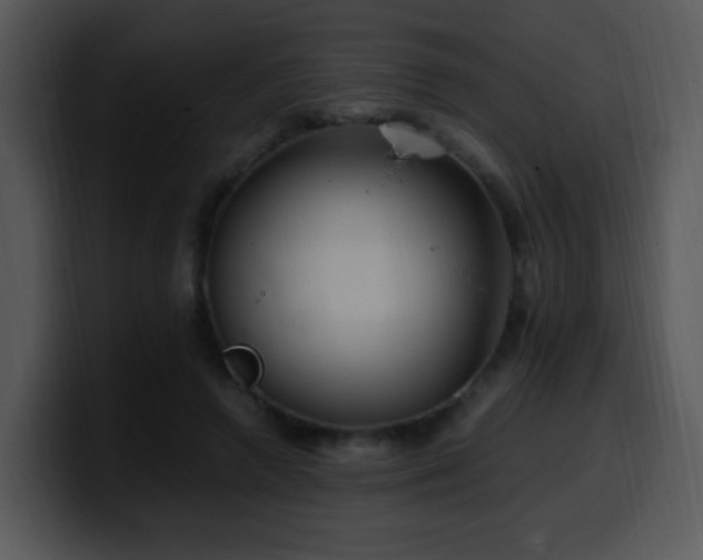 X0000100400546200806061318