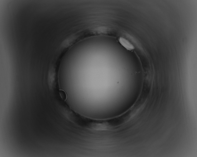X0000100400548200806061318