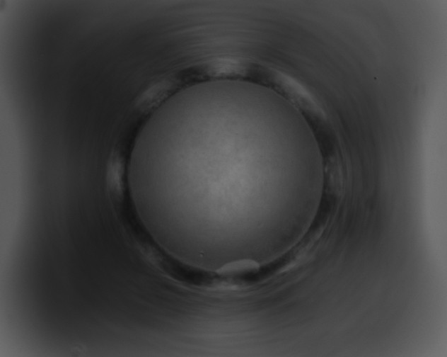 X0000100400550200806061318