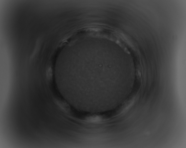 X0000100400551200806061318