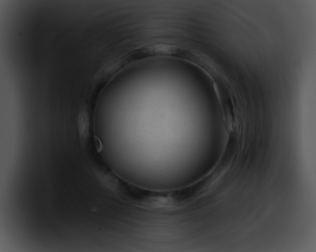 X0000100400552200806061318