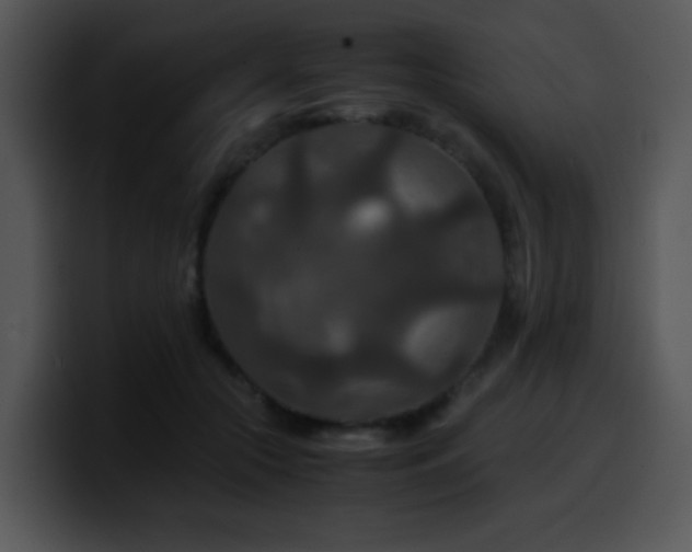 X0000100400553200806061318