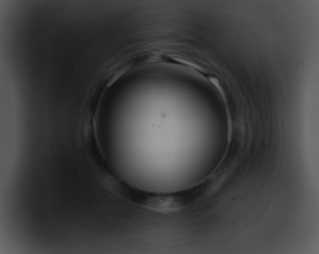 X0000100400554200806061318