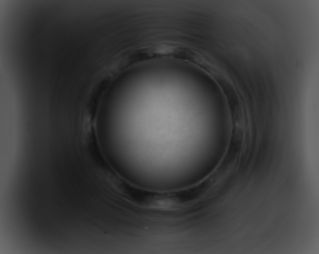 X0000100400555200806061318