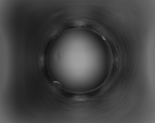 X0000100400556200806061318
