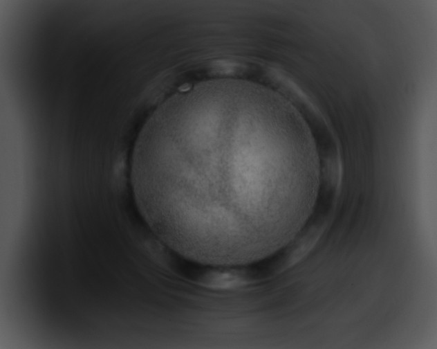 X0000100400557200806061318