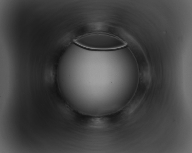 X0000100400558200806061319