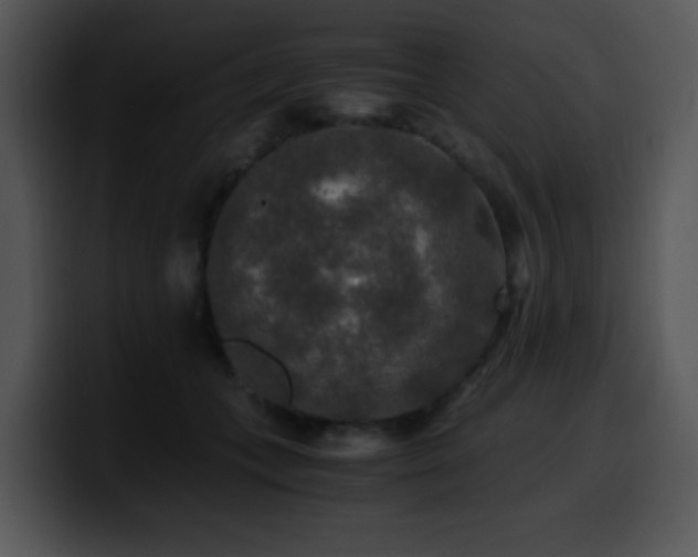 X0000100400559200806061319