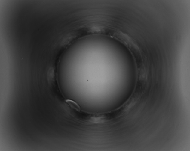 X0000100400560200806061319